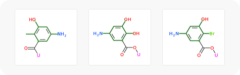 Fragment analogs