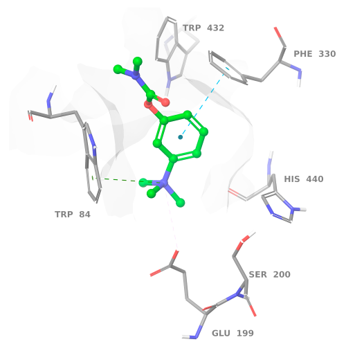 evaluation-of-cholinesterase-inhibition-by-alkaloids.png