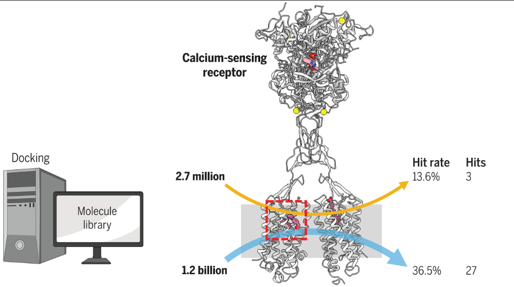 large-library-docking-casr-positive-allosteric-modulators.png