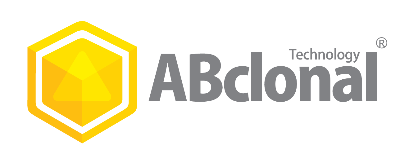 ABclonal Technology ABclonal Technology